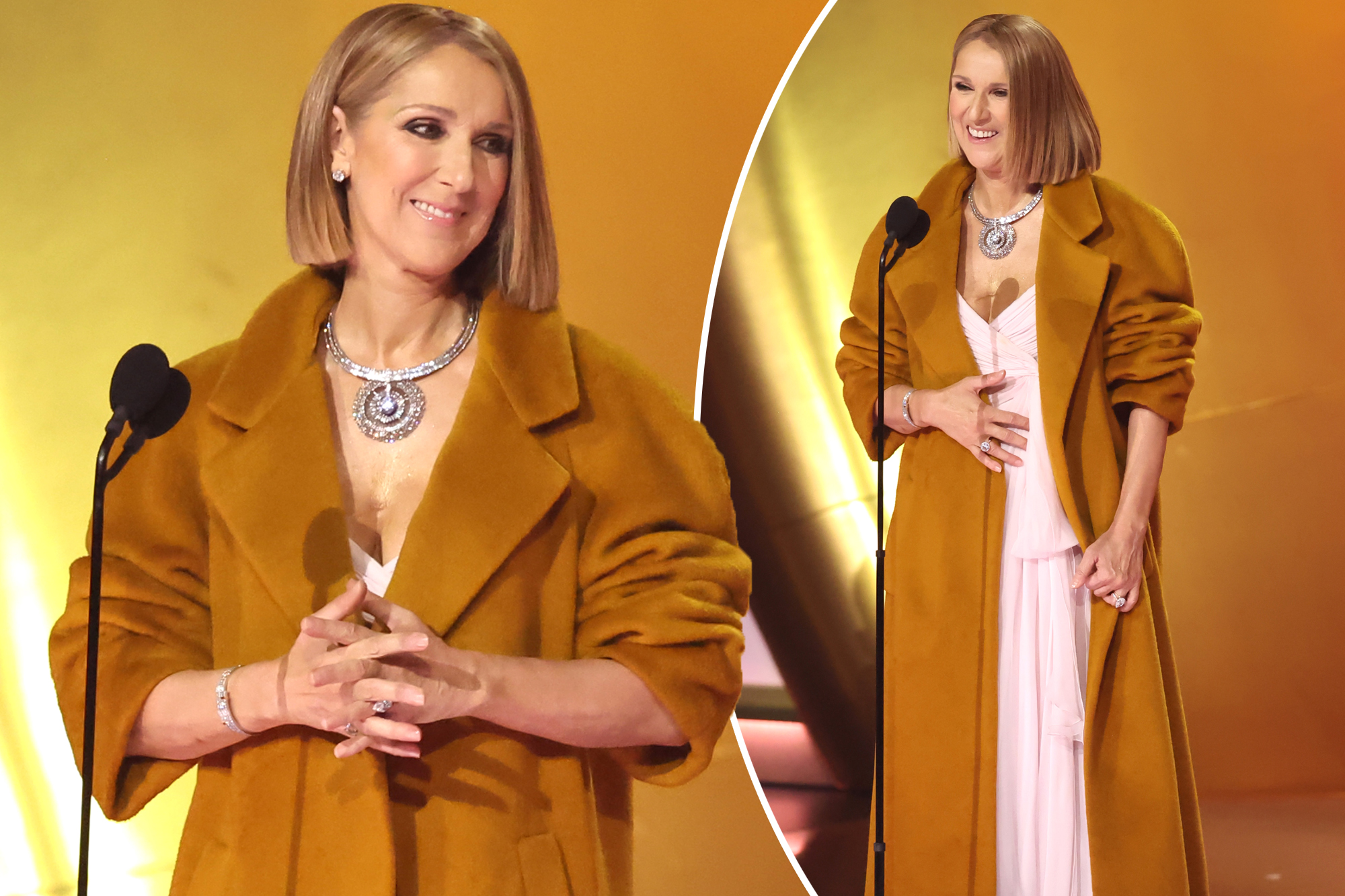 Celine Dion makes surprise appearance at Grammys 2024 while battling