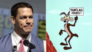 Coyote vs. Acme Movie Expected to Be Permanently Shelved