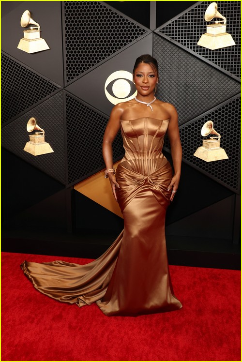Grammys 2024 Red Carpet Photos See Every Celeb Guest Who Attended