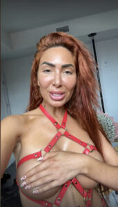 Teen Mom Farrah Abraham looked nearly unrecognizable in a new photo showing off her massive cheeks and plump pout