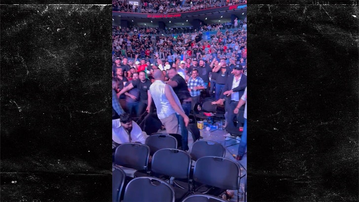 UFC Fan Suffers Brutal Knock Out in Crowd of UFC Fight Night 237 in Mexico