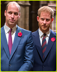 Was Prince William Jealous of Prince Harry? UK Journalist Makes This Claim!