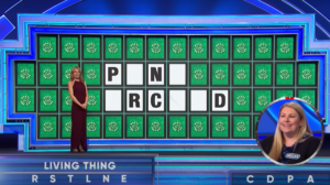 "Wheel of Fortune" Contestant Cheated Out of $40,000 Win, Fans Say
