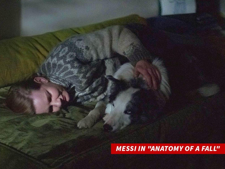 Messi in "Anatomy Of A Fall"