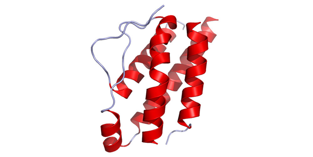 Crystal structure of IL-2 as published in the Protein Data Bank