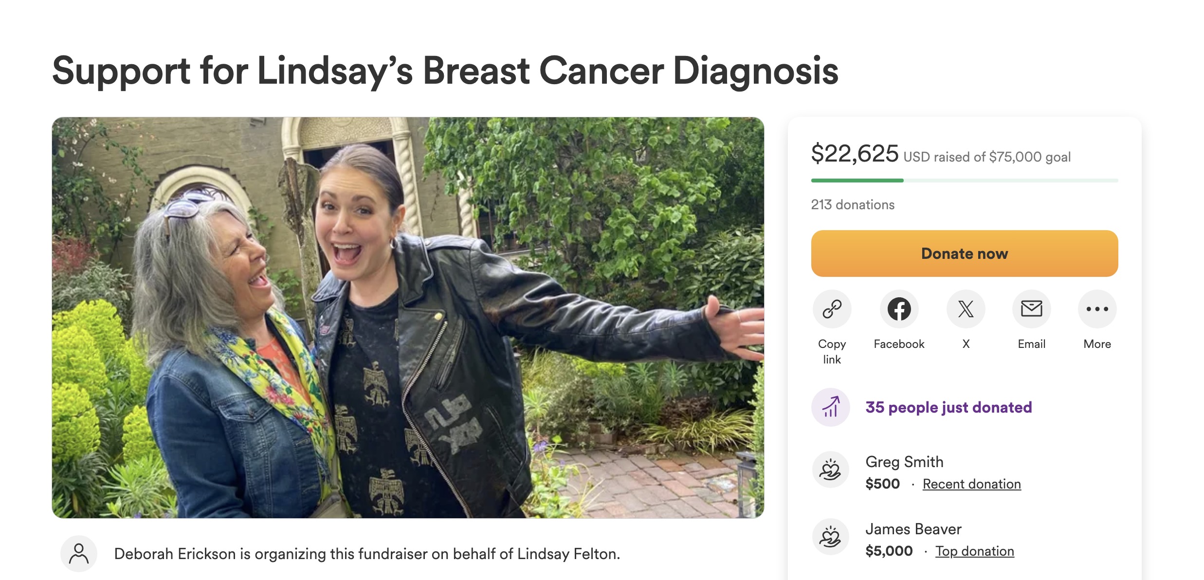 Lindsay's mother released a Just Giving page