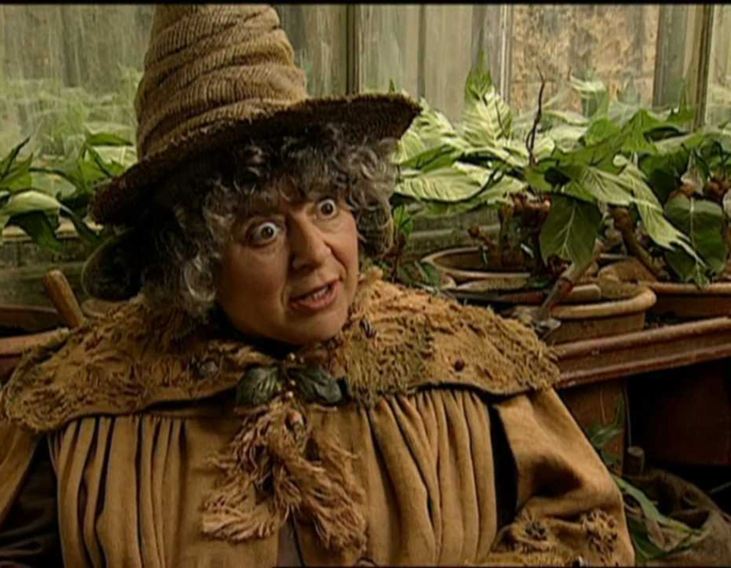 The actress - who played professor Sprout - told fans to 'grow up'
