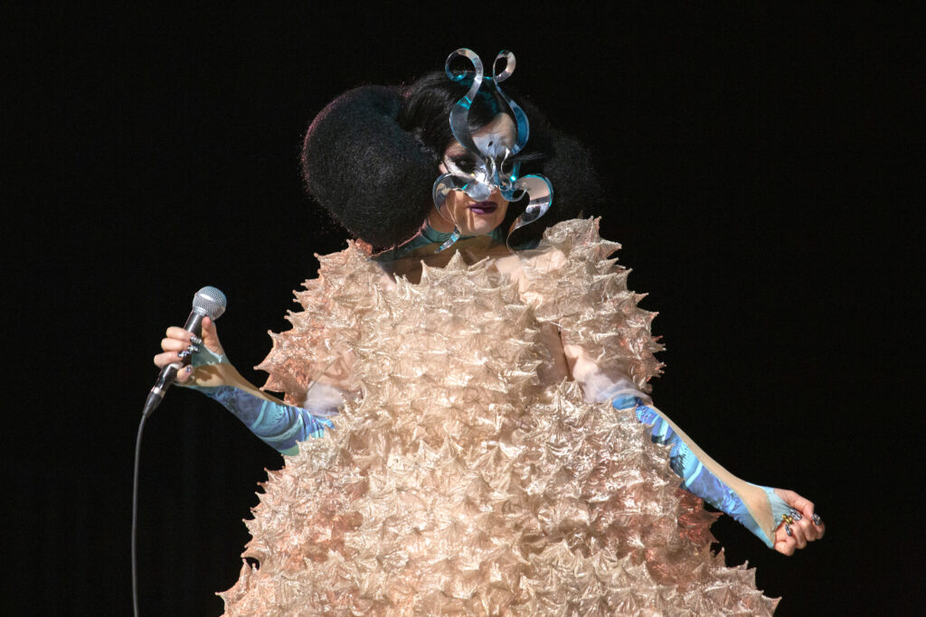 Björk shocked fans as she showed off her figure in a revealing high-fashion garment