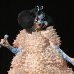 Björk shocked fans as she showed off her figure in a revealing high-fashion garment