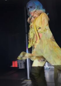 Gwen Stefani made a surprise cameo on her husband Blake Shelton's Honky Tonk tour