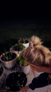 Gwen Stefani gave fans a tour of her flower garden