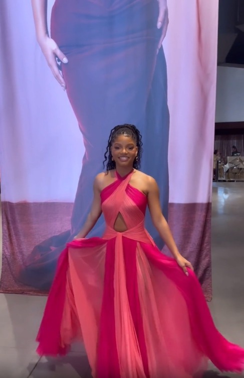 Halle Bailey attended this year's Essence Black Women in Hollywood Awards in a cut-out pink gown that showed off her tiny waist