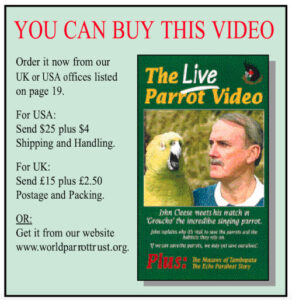 How Monty Python’s Dead Parrot Sketch Was Used to Rescue Parrots