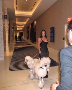 Kim Kardashian posed with her two poodles in an Instagram photo