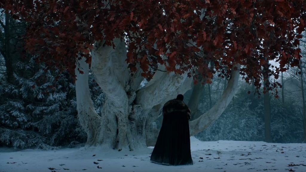 Jon Snow stands before a weirwood tree on Game of Thrones