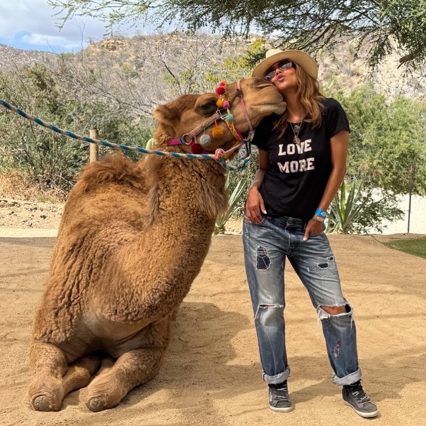 Halle got to meet and kiss a camel while she was in Mexico