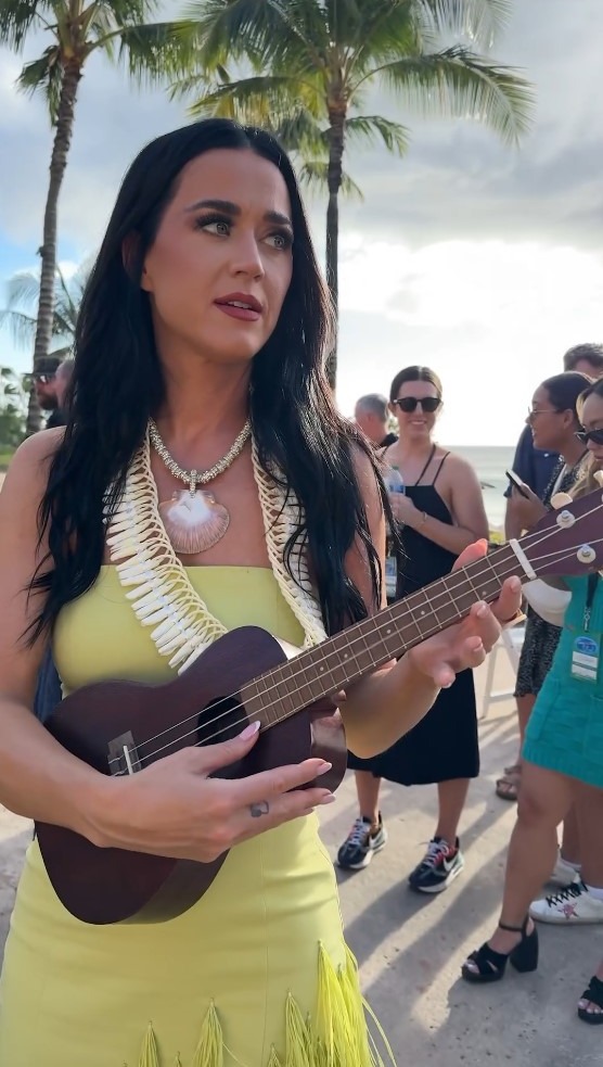 The star showed off her stomach as she strummed a ukelele on the beach