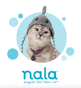 Nala the Cat
