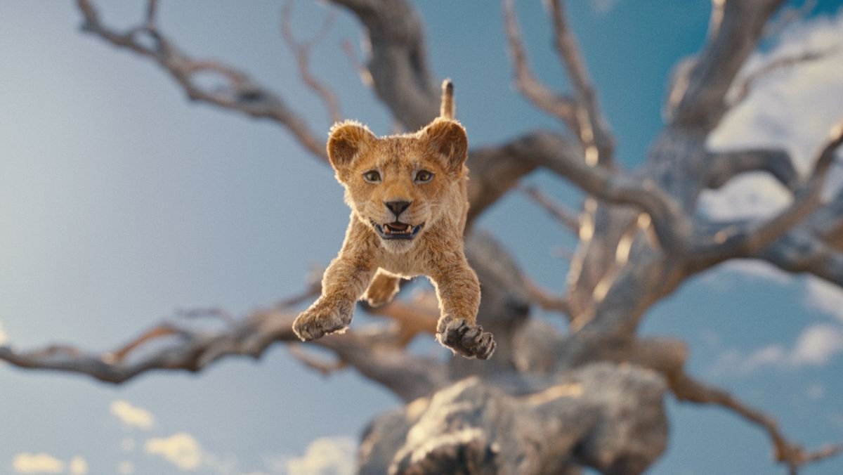 image of a photorealistic lion cub leaping in the sky towards the ground mufasa the lion king movie trailer 