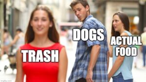 funny meme about dogs preferring trash over dogfood