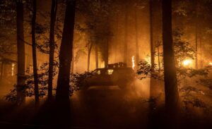 A vehicle with luggage and gear packed on top sits silhouetted in a forest amid bright fire and dull orange smoke in Alex Garland’s Civil War