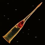 LEPROUS Announces 'Melodies Of Atonement' Album