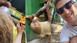 Mark Zuckerberg selfie with a sloth