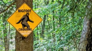 bigfoot crossing sign in woods