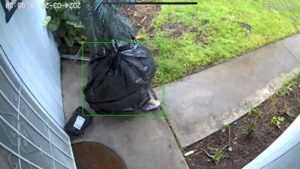 Porch Thief Steals Package From Home Disguised As Trash, Caught on Video