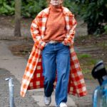 Plaid-clad Isla Fisher goes for a stroll after checking out of her marriage