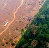 Why deforestation means less rain in tropical forests