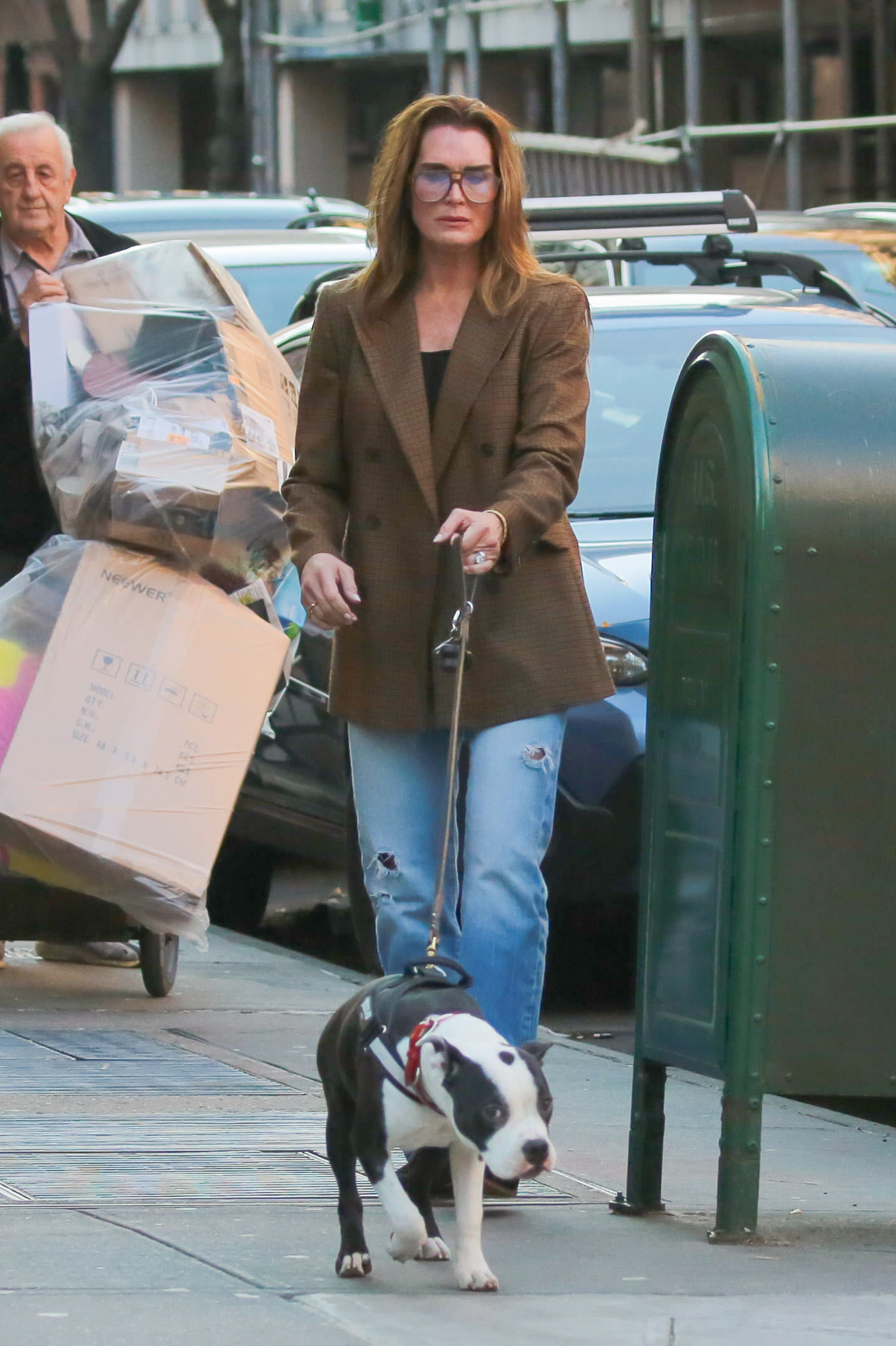 Last year, Brooke was captured showing off her timeless looks in a blazer while walking her dog