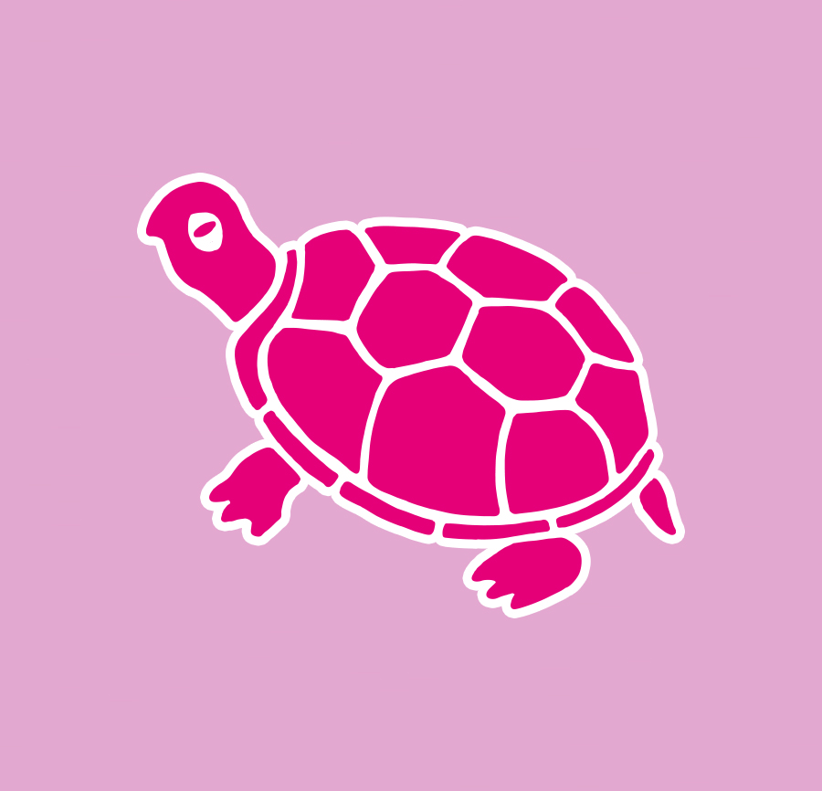 A tortoise may naturally prefer their own company, or to socialise online