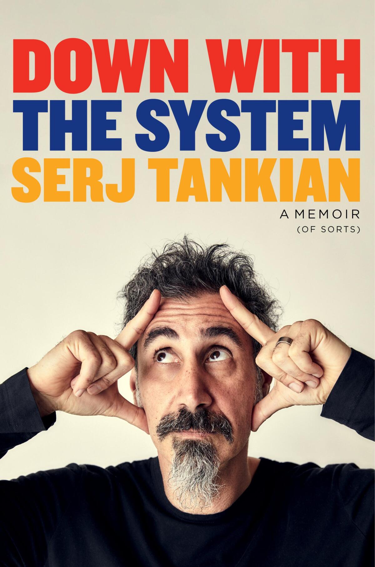 Down With the System book cover