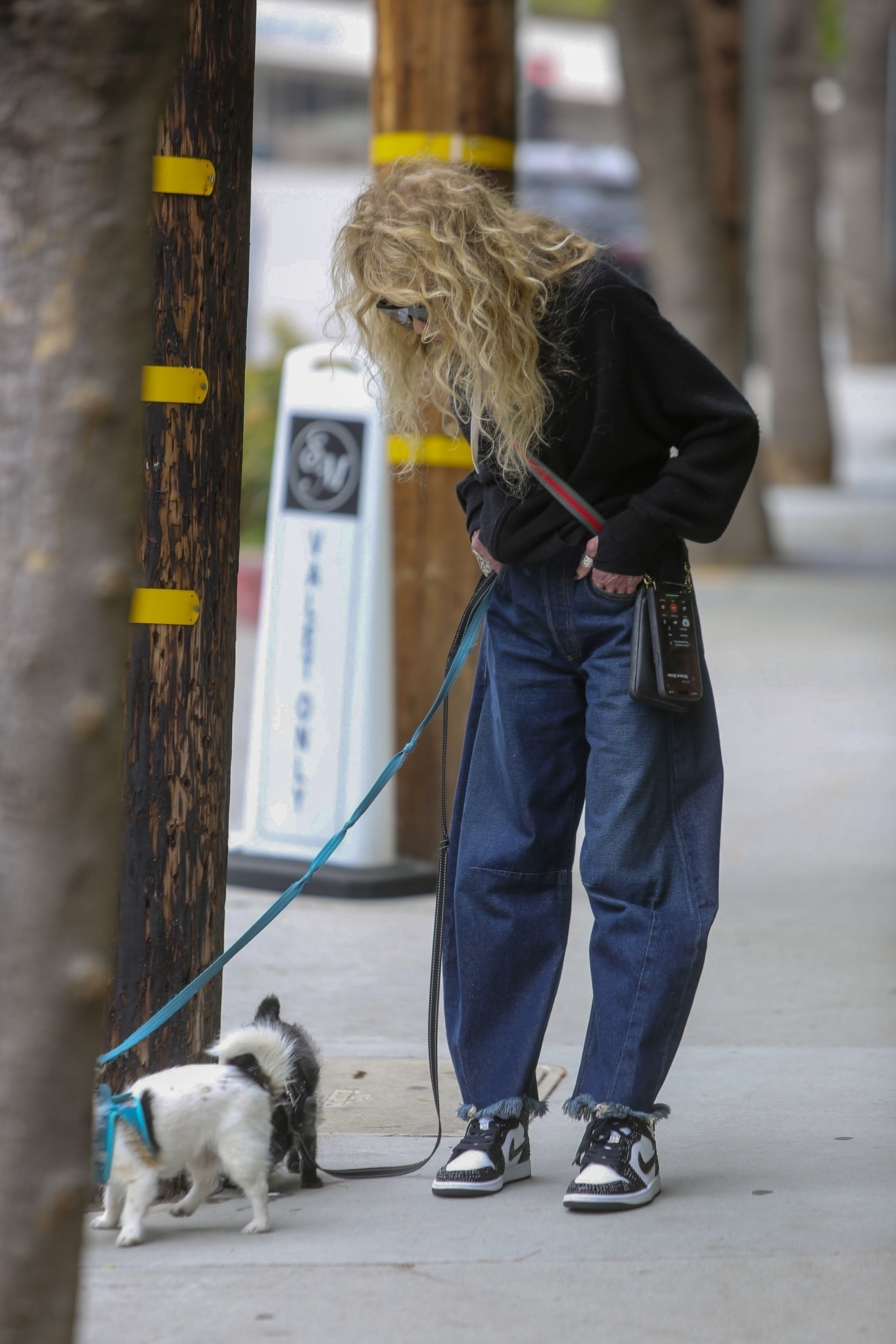 Dyan took a stroll with her two dogs and kept them on a leash