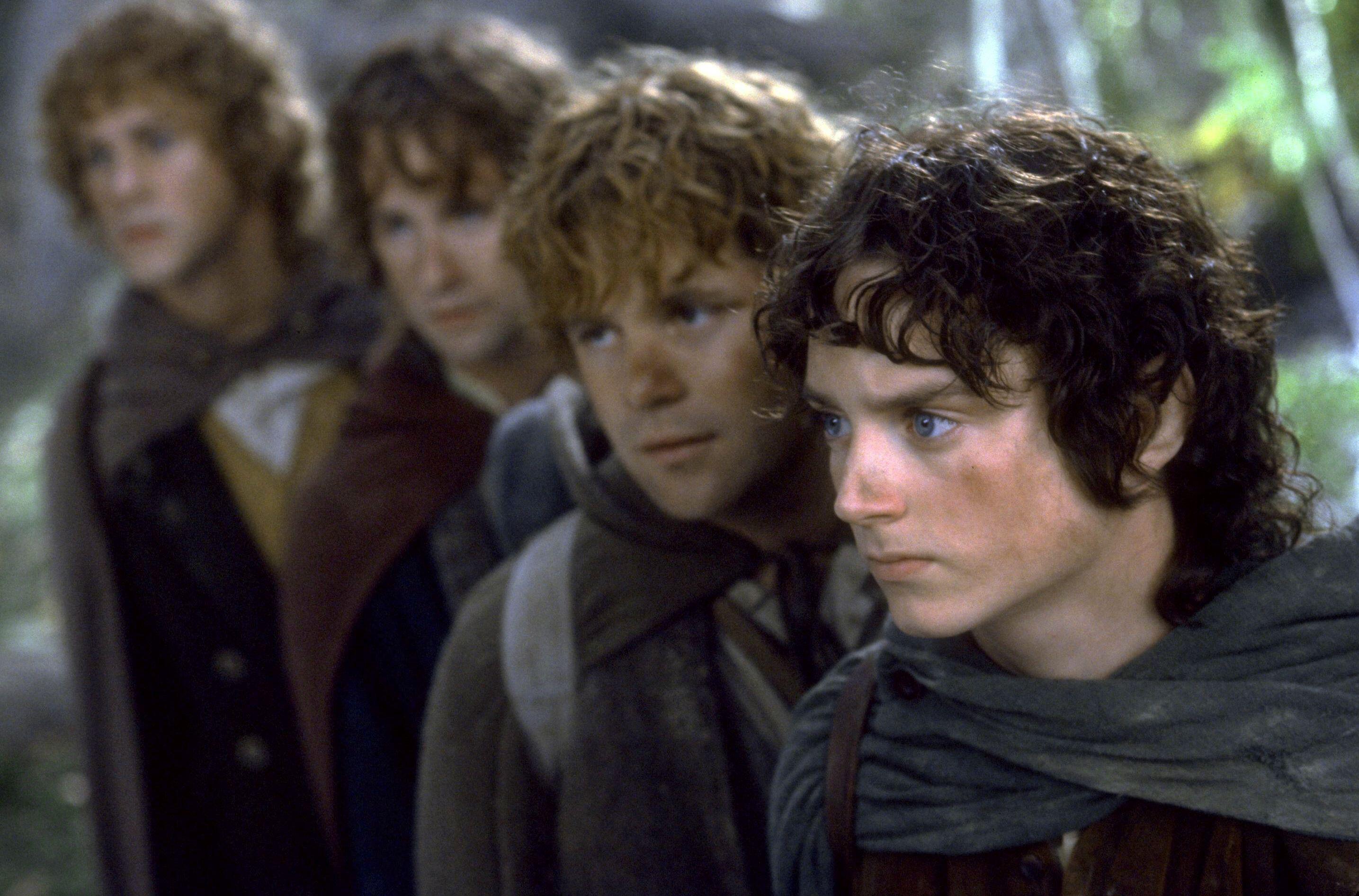 Elijah Wood pictured in a scene from The Lord Of The Rings: The Fellowship Of The Ring