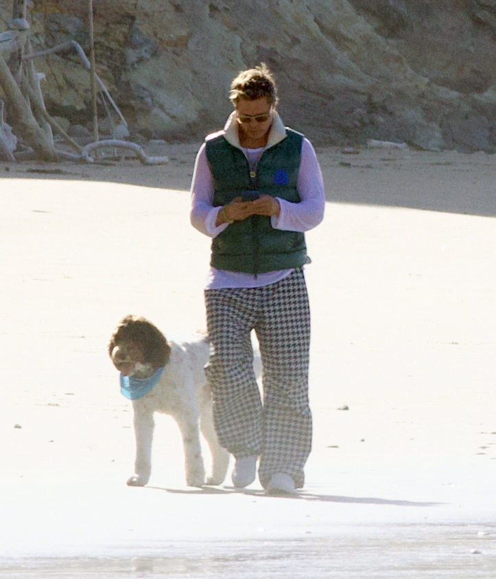 The Fury actor was accompanied by his two dogs while immersed in a cell phone conversation