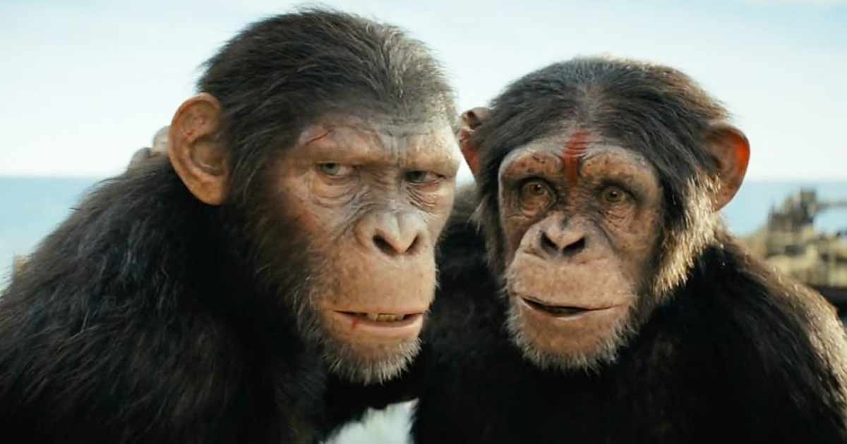 Kingdom Of The Planet Of The Apes (North America): Takes A Positive Start