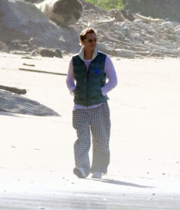 Brad Pitt looked lonely during a solo beach walk in Santa Barbara