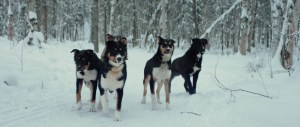 'The Way Home: Dogs of the Last Frontier'