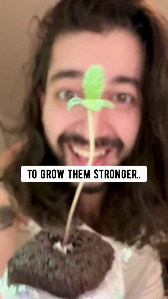 One TikTok star decided to combine ingridents to help his seedlings grow