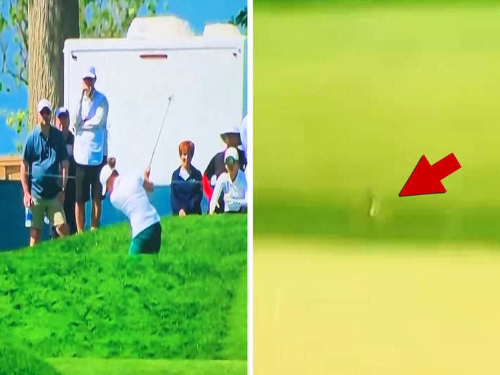 Golfer Kills Bird With Approach Shot At U.S. Women's Open