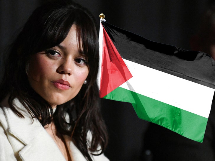 JENNA ORTEGA palestine flag