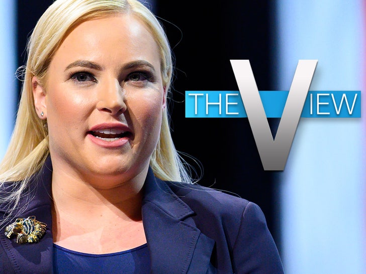 Meghan McCain the View