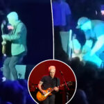 Pearl Jam's Mike McCready falls off stage mid-solo