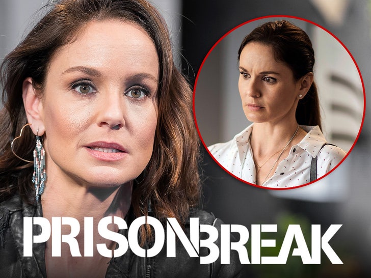 sarah wayne callies prison break main