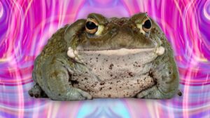 toad over psychedelic background