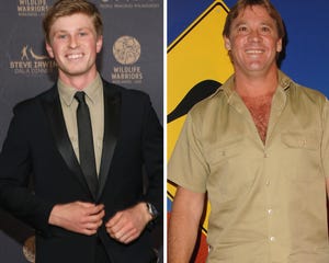 Why Terri Irwin Doesn't Want to Date After Death of Late Husband Steve Irwin