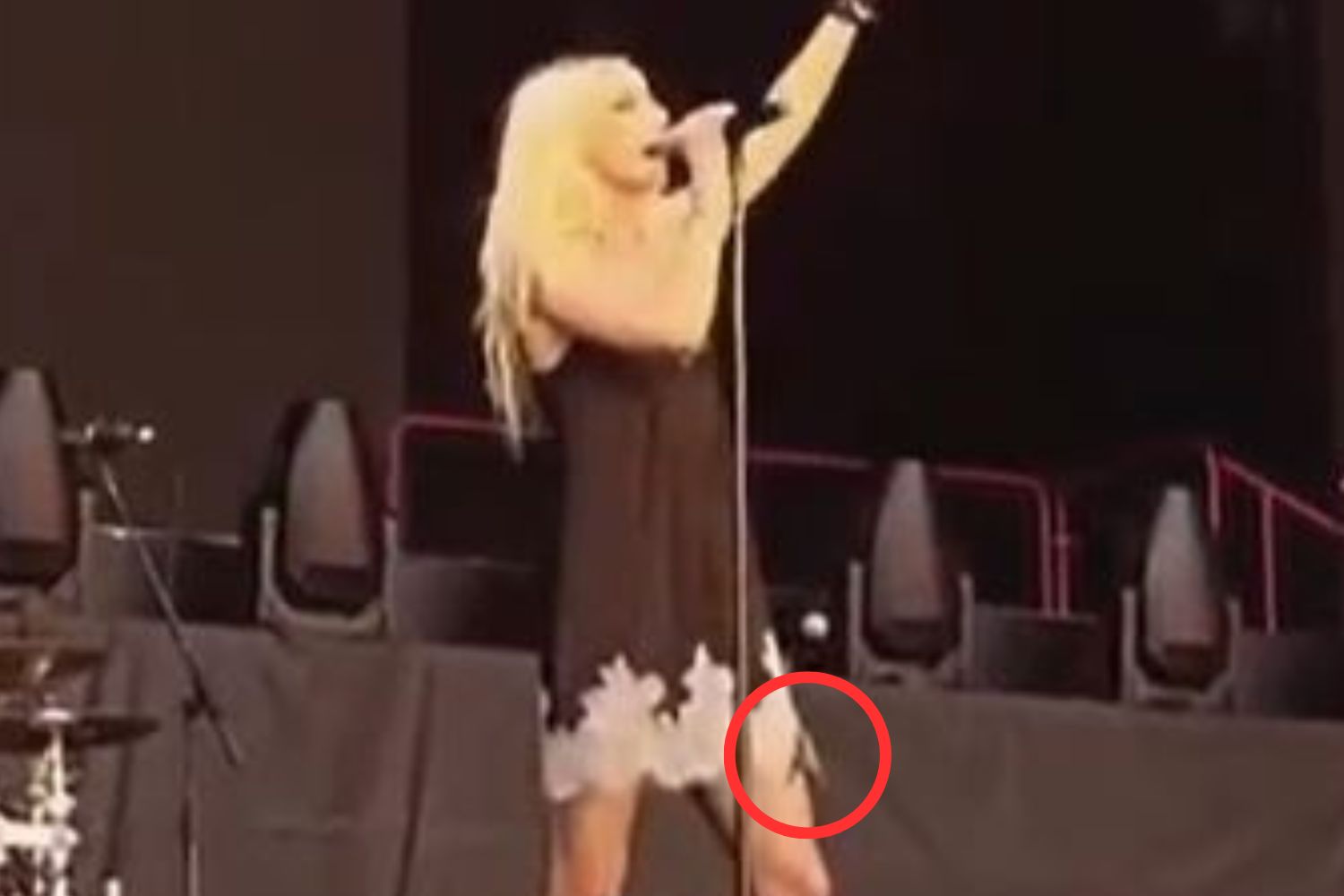 The singer asked for help on stage after finding the creature on her leg