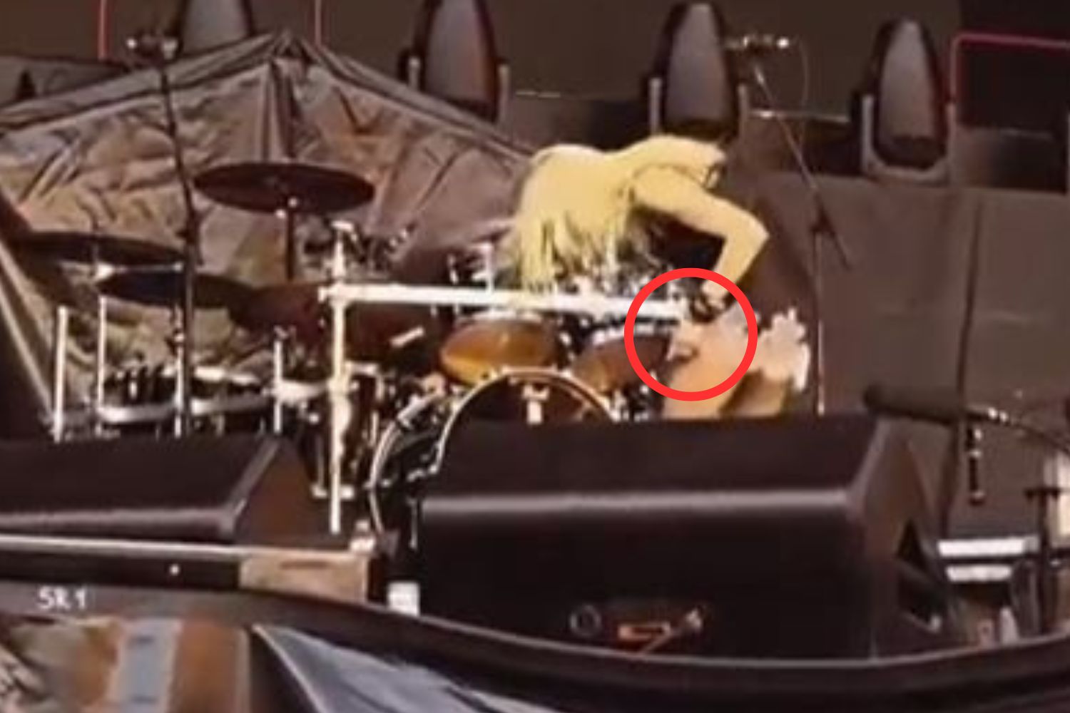 The moment Momsen spotted the bat clinging to her left thigh